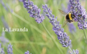 Centro de interpretación